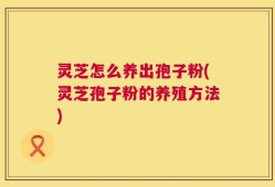 灵芝怎么养出孢子粉(灵芝孢子粉的养殖方法)