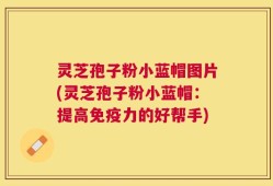 灵芝孢子粉小蓝帽图片(灵芝孢子粉小蓝帽：提高免疫力的好帮手)
