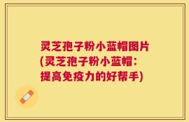 灵芝孢子粉小蓝帽图片(灵芝孢子粉小蓝帽：提高免疫力的好帮手)