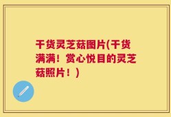 干货灵芝菇图片(干货满满！赏心悦目的灵芝菇照片！)