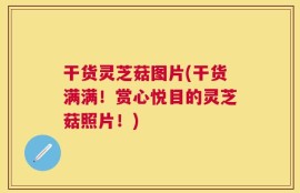 干货灵芝菇图片(干货满满！赏心悦目的灵芝菇照片！)