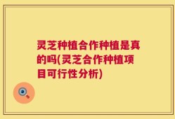 灵芝种植合作种植是真的吗(灵芝合作种植项目可行性分析)
