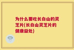 为什么要吃长白山的灵芝片(长白山灵芝片的健康益处)