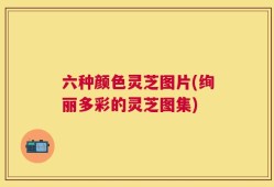 六种颜色灵芝图片(绚丽多彩的灵芝图集)