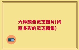 六种颜色灵芝图片(绚丽多彩的灵芝图集)