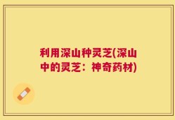 利用深山种灵芝(深山中的灵芝：神奇药材)