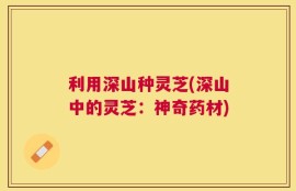 利用深山种灵芝(深山中的灵芝：神奇药材)