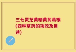 三七灵芝黄精黄芪葛根(四种草药的功效及用途)