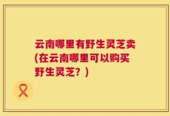 云南哪里有野生灵芝卖(在云南哪里可以购买野生灵芝？)
