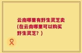云南哪里有野生灵芝卖(在云南哪里可以购买野生灵芝？)