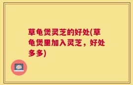 草龟煲灵芝的好处(草龟煲里加入灵芝，好处多多)