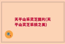 天平山采灵芝图片(天平山灵芝采摘之美)