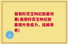 葡萄籽灵芝枸杞胶囊效果(葡萄籽灵芝枸杞胶囊提升免疫力，延缓衰老)