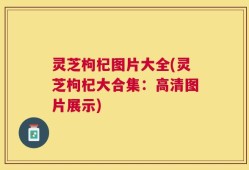 灵芝枸杞图片大全(灵芝枸杞大合集：高清图片展示)