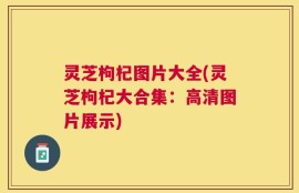灵芝枸杞图片大全(灵芝枸杞大合集：高清图片展示)