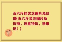 五六斤的灵芝图片及价格(五六斤灵芝图片及价格，惊喜特价，快来抢！)