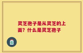 灵芝孢子是从灵芝的上面？什么是灵芝孢子