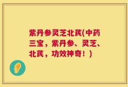 紫丹参灵芝北芪(中药三宝，紫丹参、灵芝、北芪，功效神奇！)