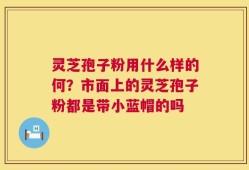 灵芝孢子粉用什么样的何？市面上的灵芝孢子粉都是带小蓝帽的吗
