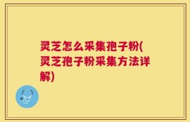 灵芝怎么采集孢子粉(灵芝孢子粉采集方法详解)