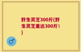 野生灵芝300斤(野生灵芝重达300斤！)