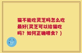 猫不能吃灵芝吗怎么吃最好(灵芝可以给猫吃吗？如何正确喂食？)