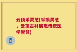 云顶采灵芝(采摘灵芝，云顶古村展现传统医学智慧)