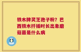 铁木牌灵芝孢子粉？巴西铁木扦插时长出象磨菇菌是什么病
