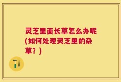 灵芝里面长草怎么办呢(如何处理灵芝里的杂草？)