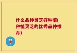 什么品种灵芝好种植(种植灵芝的优秀品种推荐)