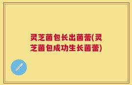 灵芝菌包长出菌蕾(灵芝菌包成功生长菌蕾)