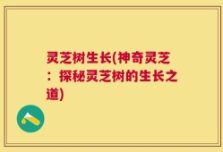 灵芝树生长(神奇灵芝：探秘灵芝树的生长之道)
