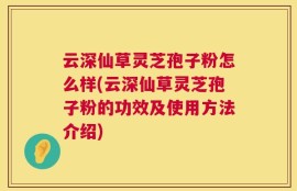 云深仙草灵芝孢子粉怎么样(云深仙草灵芝孢子粉的功效及使用方法介绍)