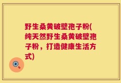 野生桑黄破壁孢子粉(纯天然野生桑黄破壁孢子粉，打造健康生活方式)