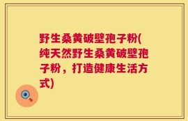 野生桑黄破壁孢子粉(纯天然野生桑黄破壁孢子粉，打造健康生活方式)