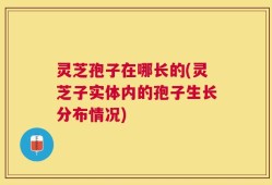 灵芝孢子在哪长的(灵芝子实体内的孢子生长分布情况)