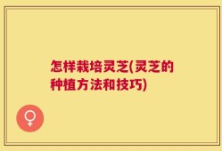 怎样栽培灵芝(灵芝的种植方法和技巧)