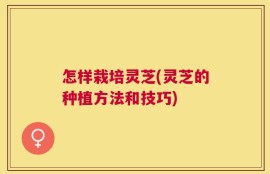 怎样栽培灵芝(灵芝的种植方法和技巧)