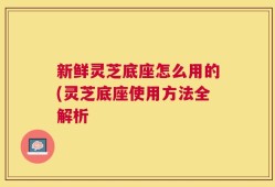 新鲜灵芝底座怎么用的(灵芝底座使用方法全解析