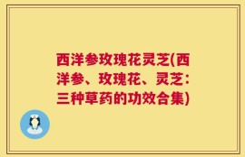 西洋参玫瑰花灵芝(西洋参、玫瑰花、灵芝：三种草药的功效合集)
