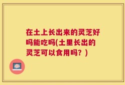 在土上长出来的灵芝好吗能吃吗(土里长出的灵芝可以食用吗？)