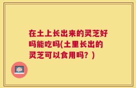 在土上长出来的灵芝好吗能吃吗(土里长出的灵芝可以食用吗？)