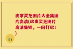 虎掌灵芝图片大全集图片高清(珍贵灵芝图片高清集锦，一网打尽！)