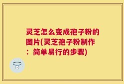 灵芝怎么变成孢子粉的图片(灵芝孢子粉制作：简单易行的步骤)