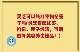 灵芝可以炖红枣枸杞莲子吗(灵芝搭配红枣、枸杞、莲子炖汤，可谓滋补美容养生佳品！)