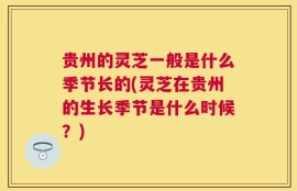 贵州的灵芝一般是什么季节长的(灵芝在贵州的生长季节是什么时候？)