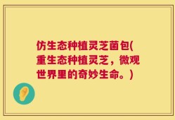 仿生态种植灵芝菌包(重生态种植灵芝，微观世界里的奇妙生命。)