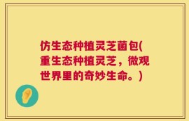 仿生态种植灵芝菌包(重生态种植灵芝，微观世界里的奇妙生命。)