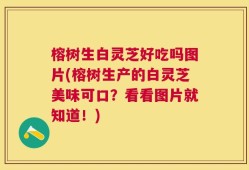 榕树生白灵芝好吃吗图片(榕树生产的白灵芝美味可口？看看图片就知道！)