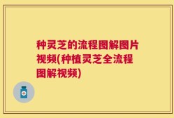 种灵芝的流程图解图片视频(种植灵芝全流程图解视频)